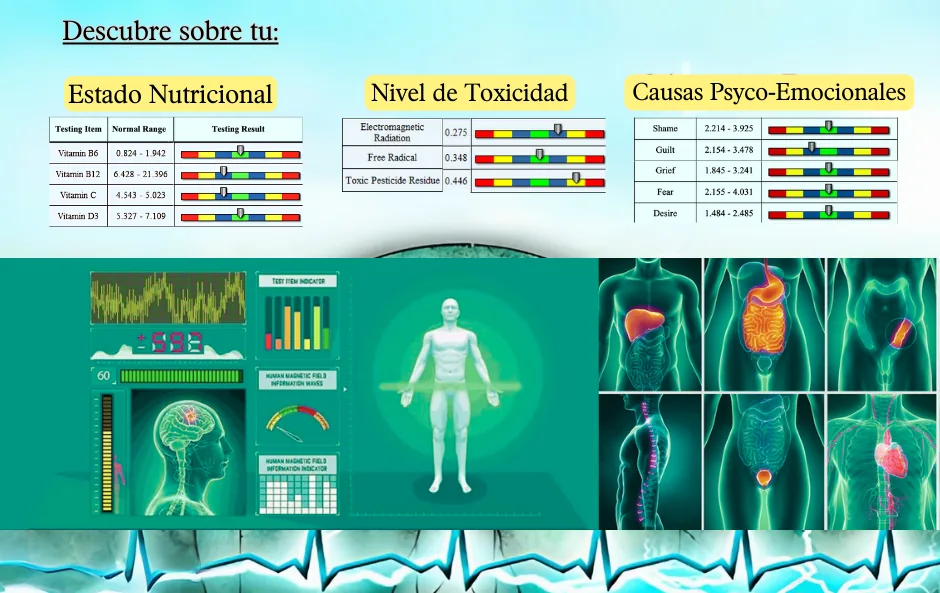 Ejemplo del informe de resonancia saludable: estado nutricional, nivel de toxicidad y causas psico-emocionales